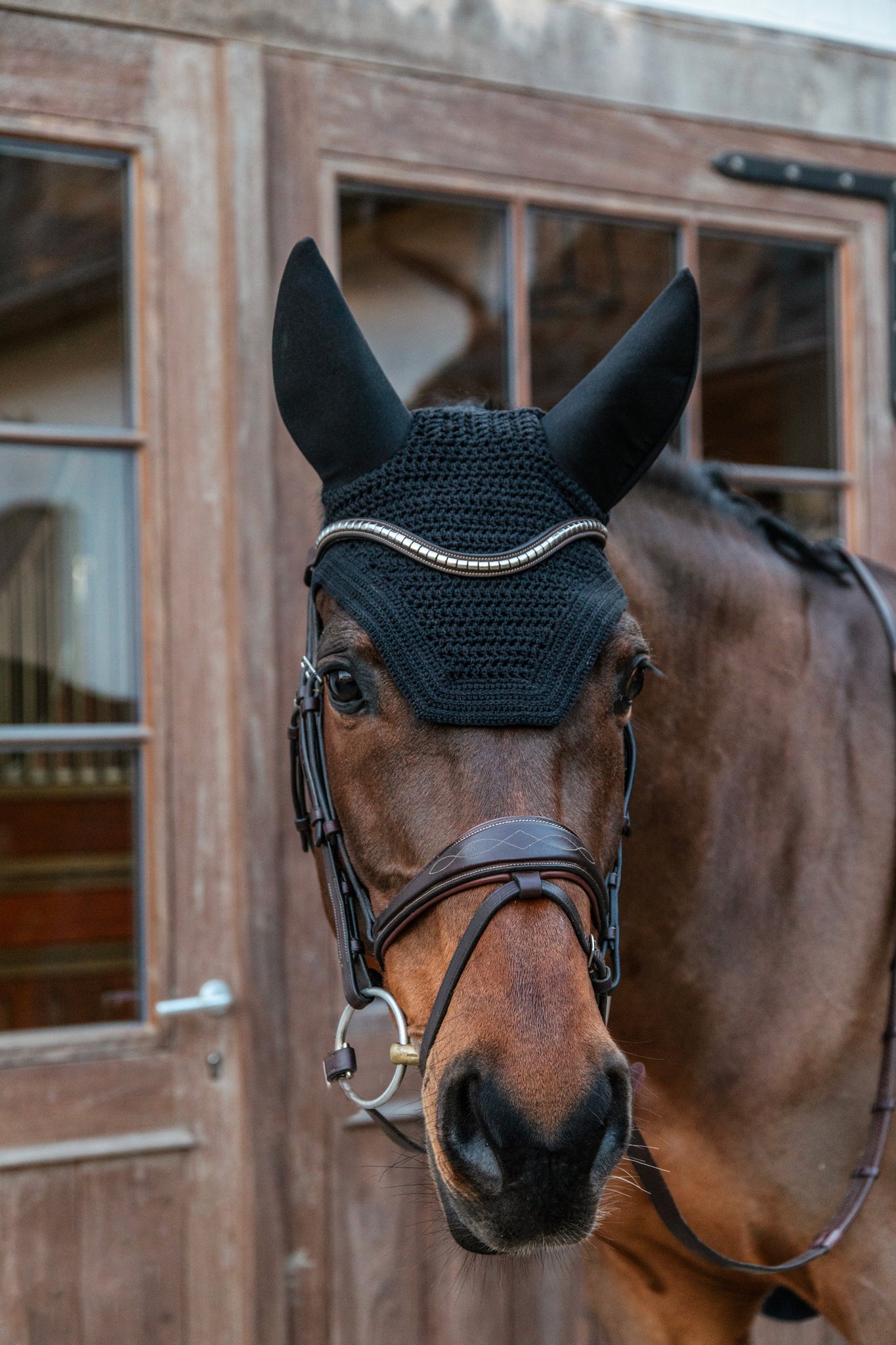 Noise cancelling ear bonnet for horses