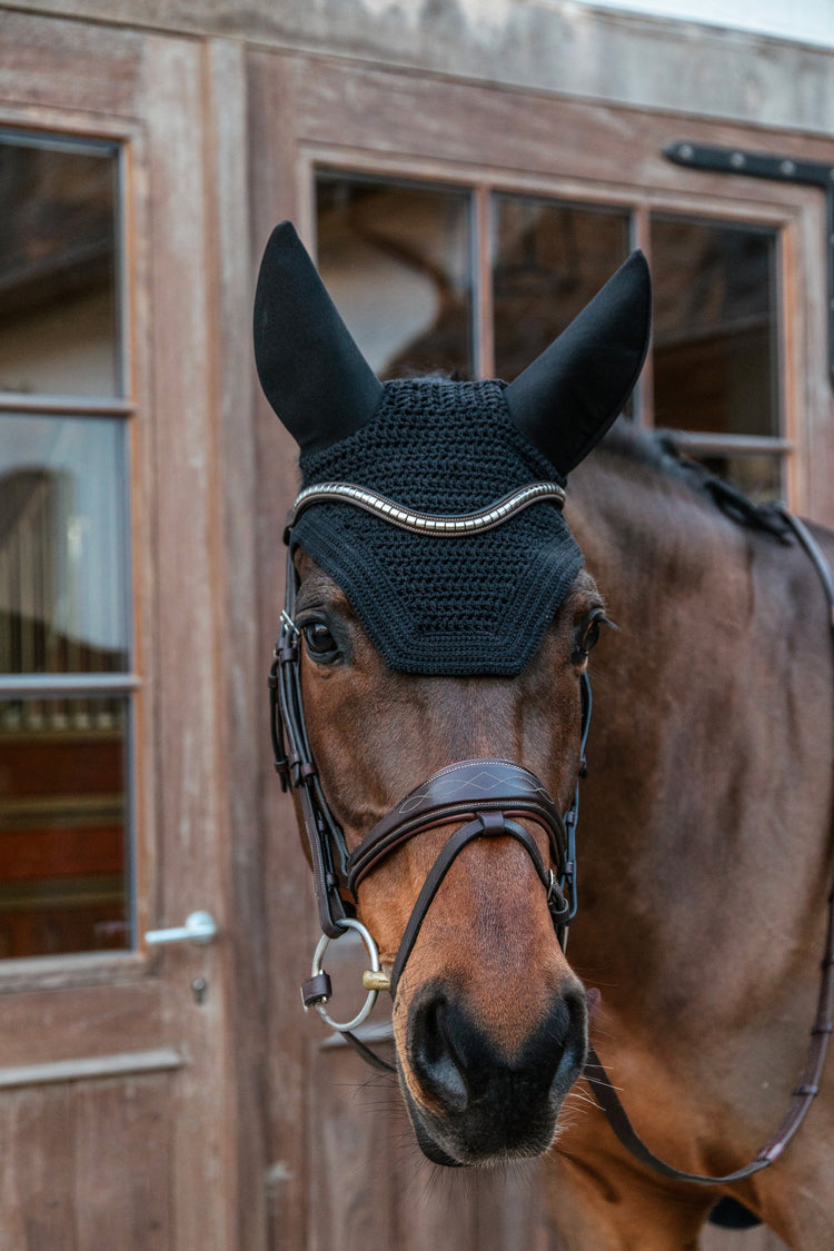 Noise cancelling ear bonnet for horses