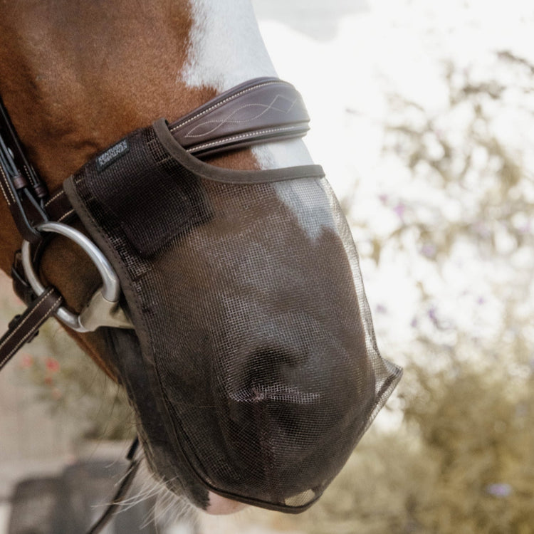 Fly nose net for horses