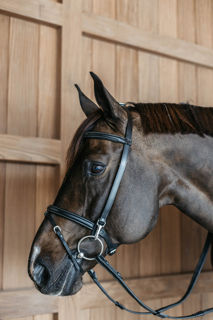 Black training bridle for horses