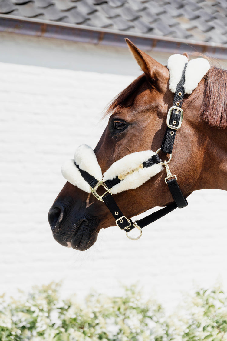 Halter for sensitive skinned horses