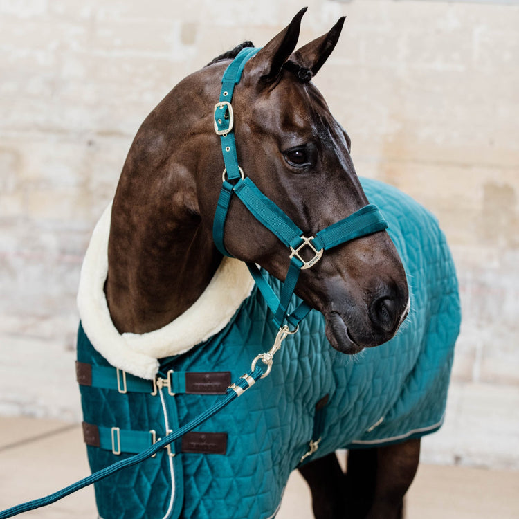 kentucky horsewear lead