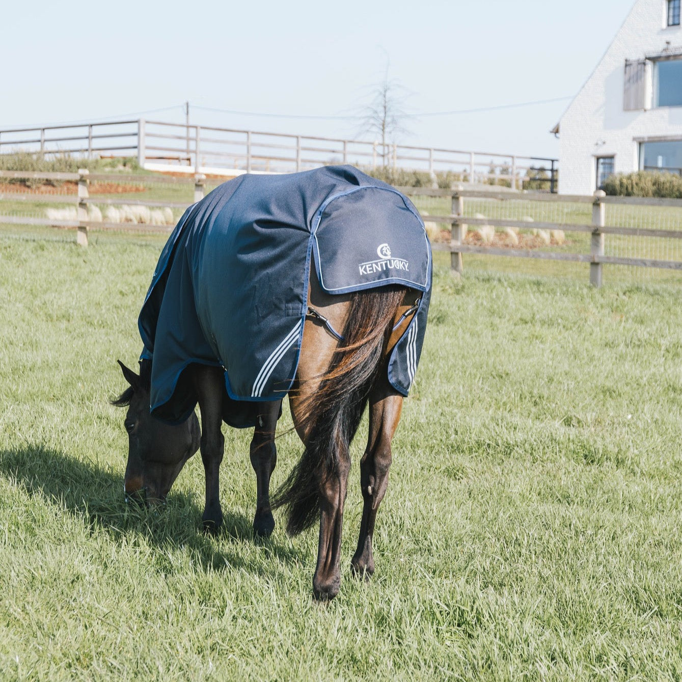 durable outdoor rug