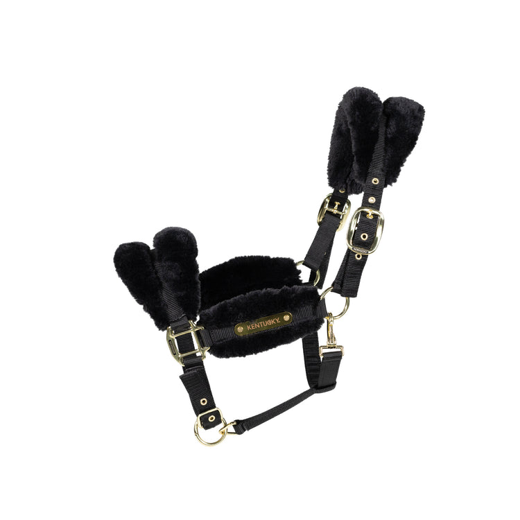 Black fur head collar
