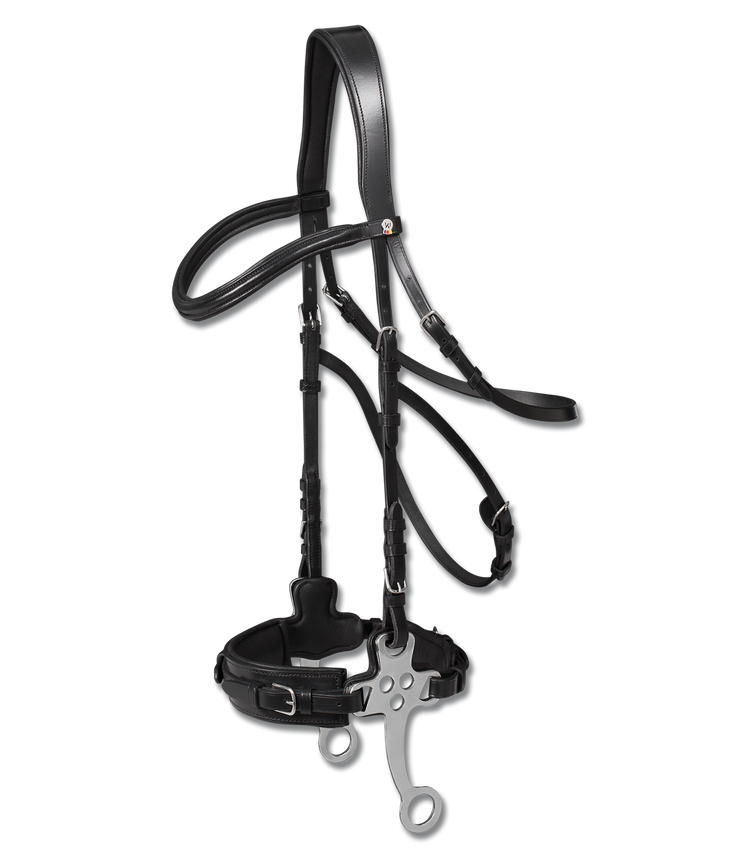 Affordable hackamore bridle