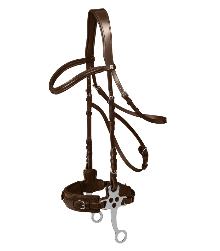 Hackamore bridle for horses