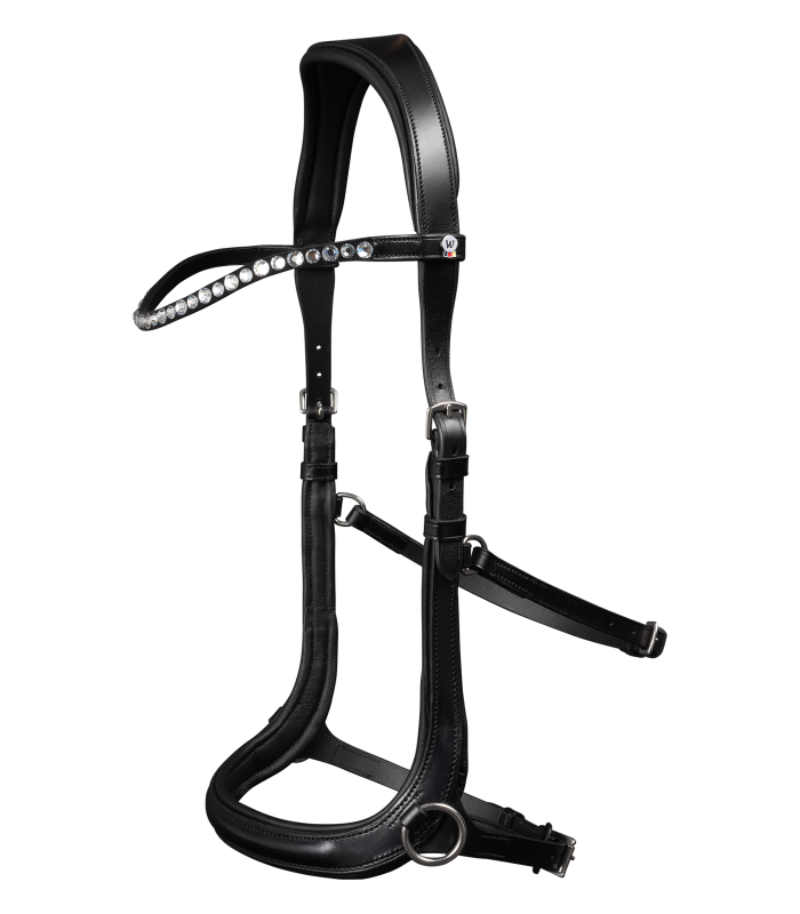 Bitless bridle for ponies