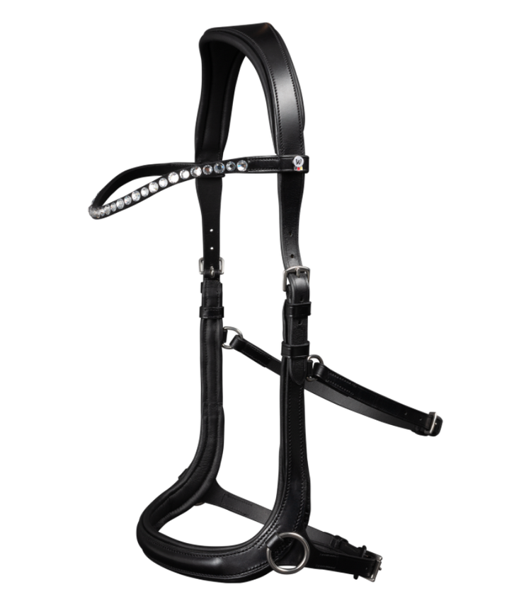 Bitless bridle for ponies