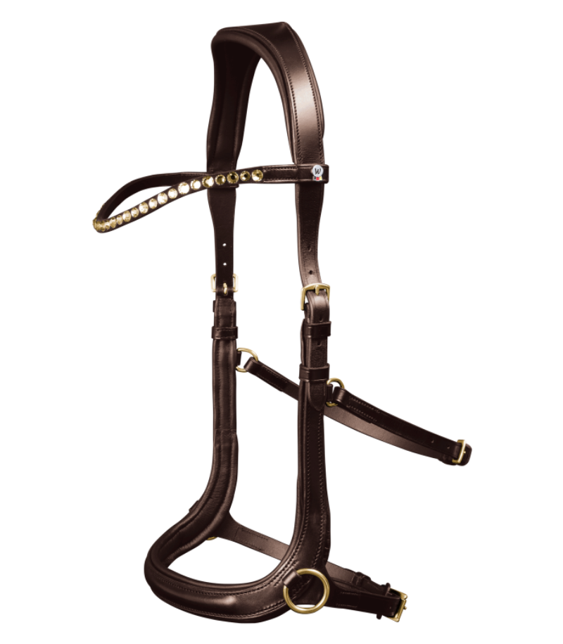 Brown Bitless bridle