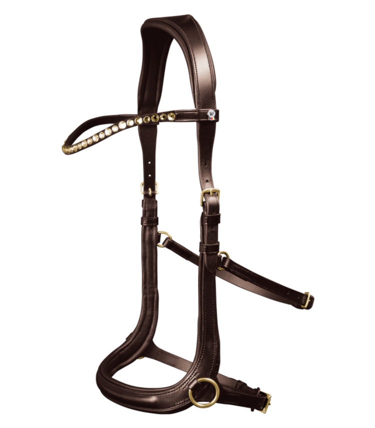 Brown Bitless bridle
