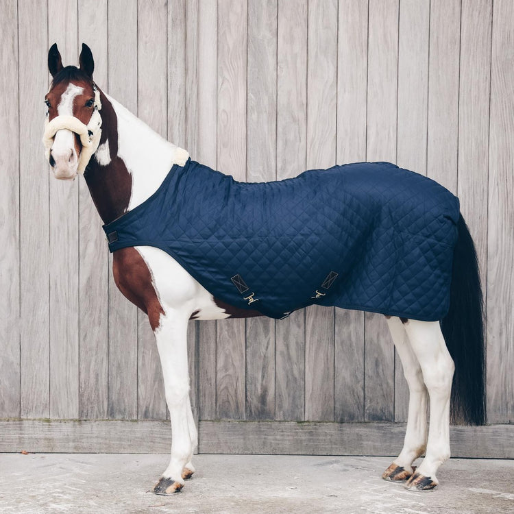 Walker rug for horses
