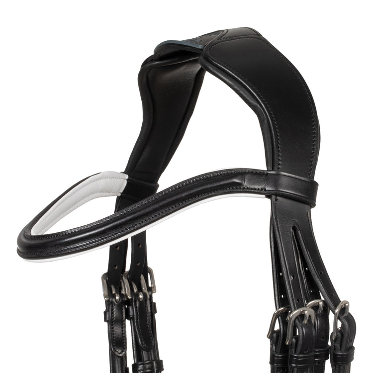 Acavallo double bridle in black white