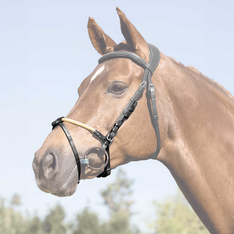 Black leather rope noseband