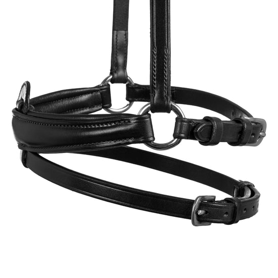 Flash noseband bridle
