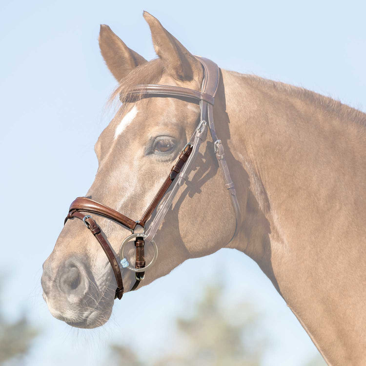 high quality flash noseband