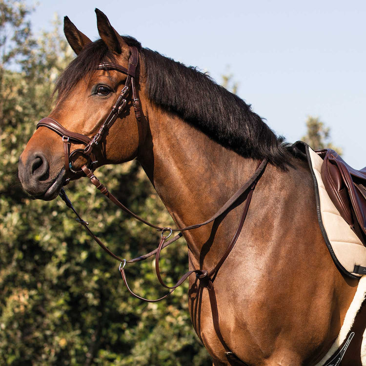 Acavallo Runnings Martingale
