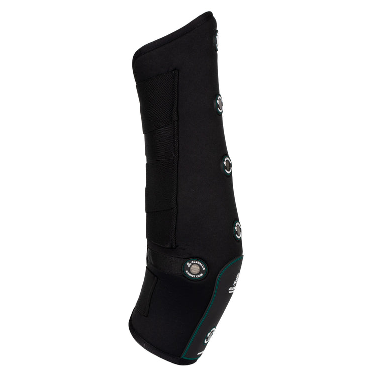magnetic hind boots
