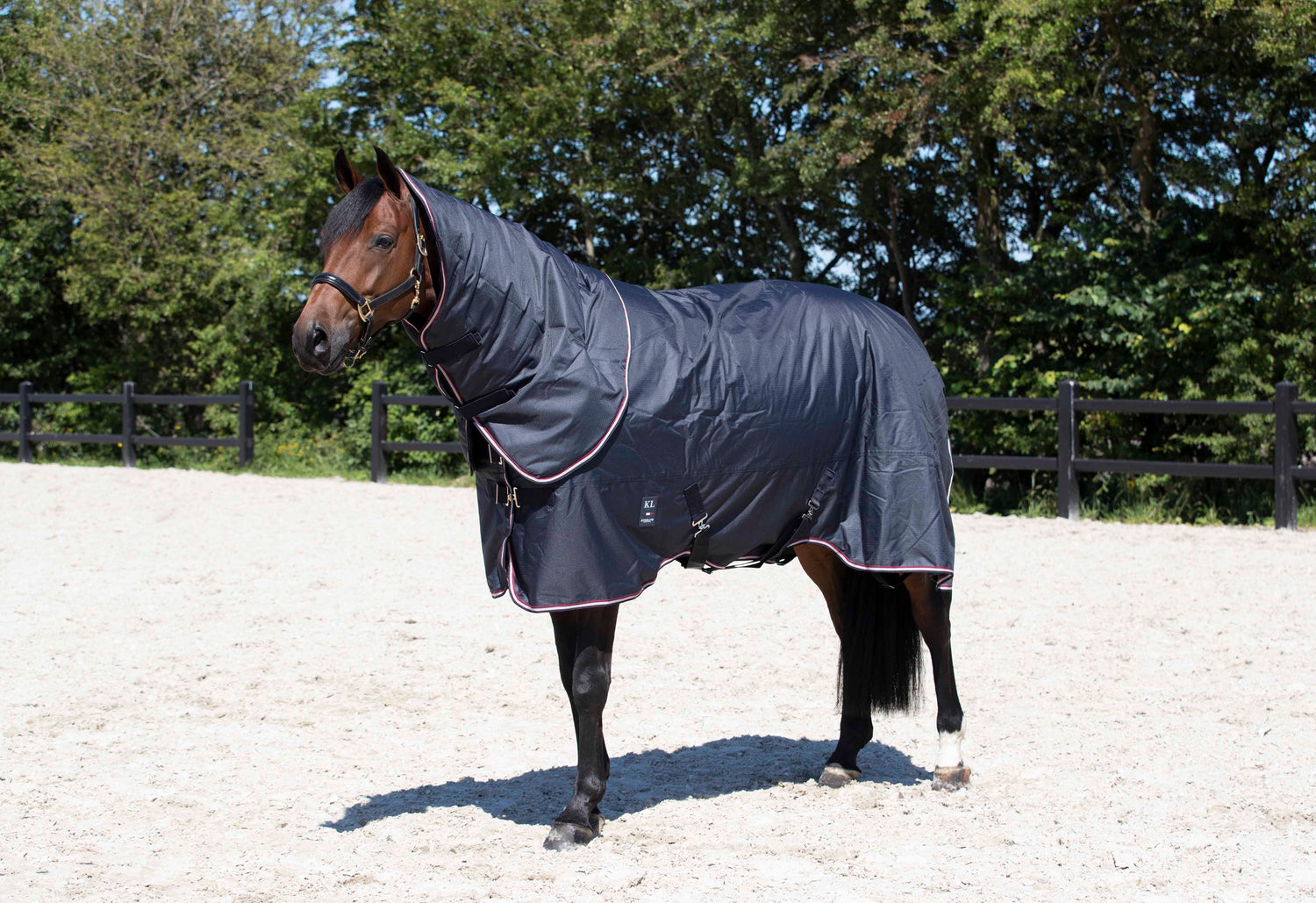 200 gram turnout rug with neck rug