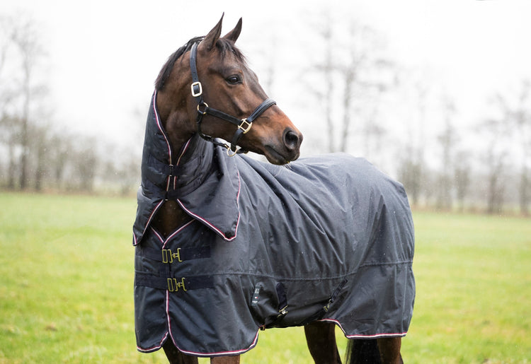 Kingsland equestrian turnout rugs