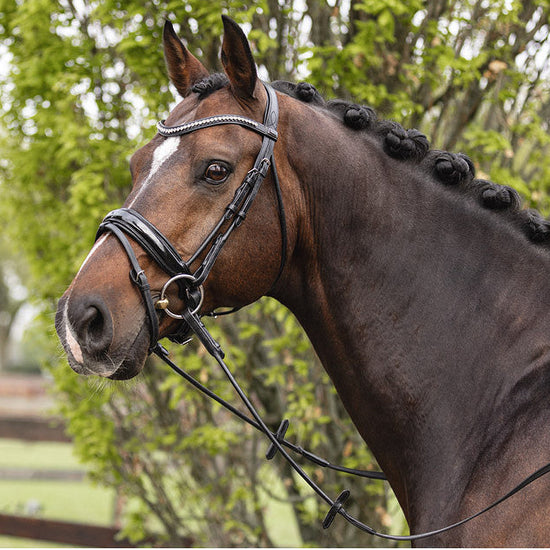 anky dressage bridle black rolled leather