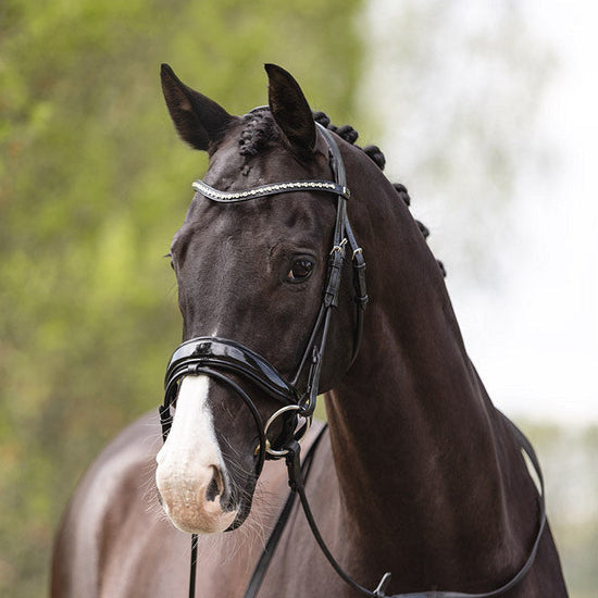 Comfort Fit anatomic dressage bridle