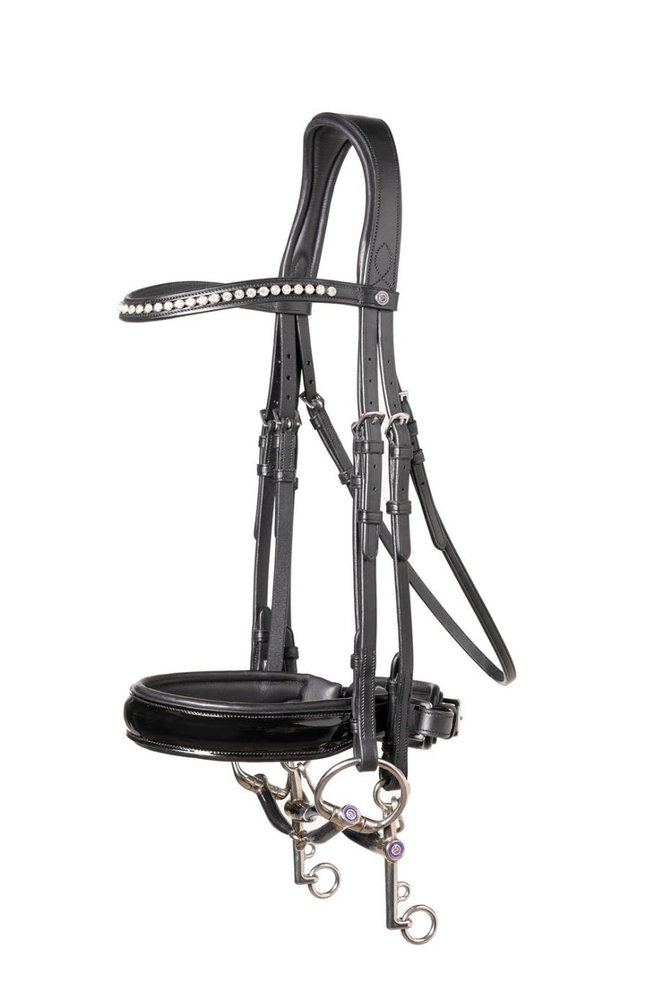 Anatomical double bridle UK