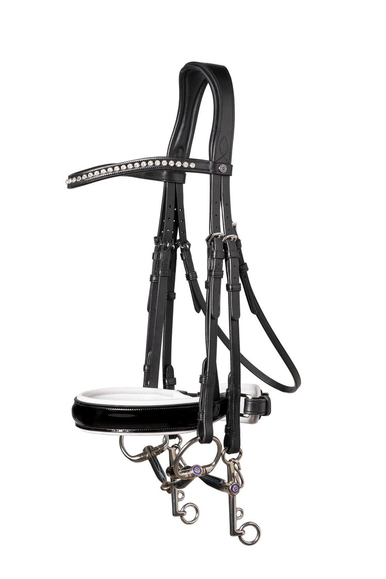 Double bridle horse