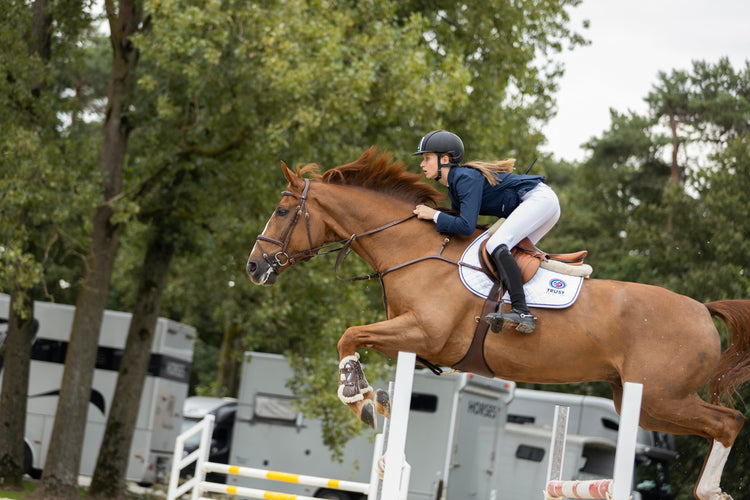 Trust equestrian bridles for jumping