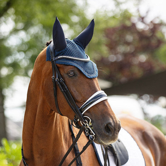 Anky double bridle with white padding
