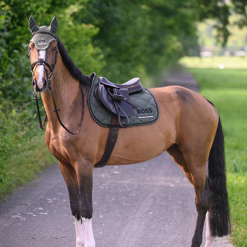 BOSS Green Saddle Pad