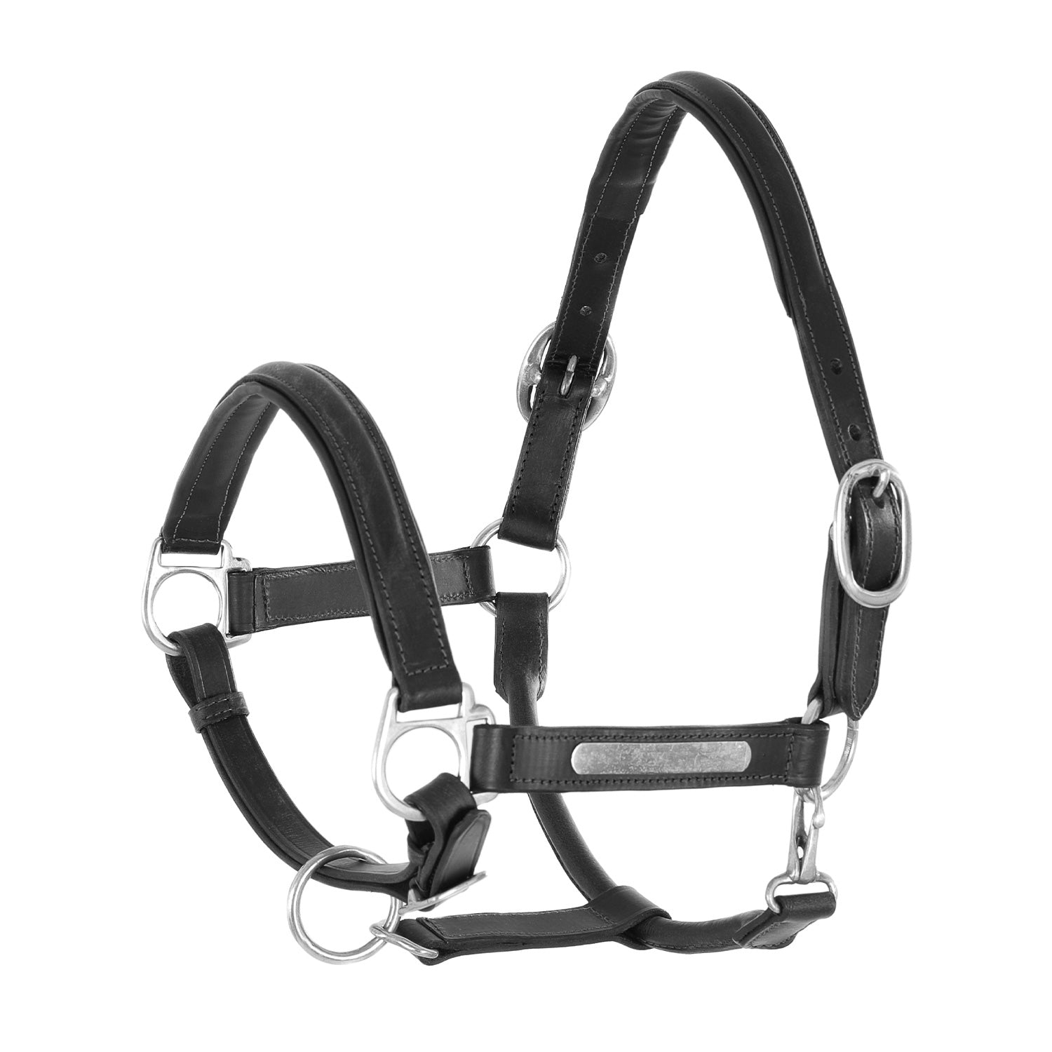 Black leather halter for horses