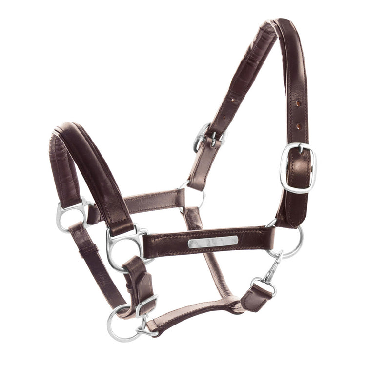 Leather horse halter