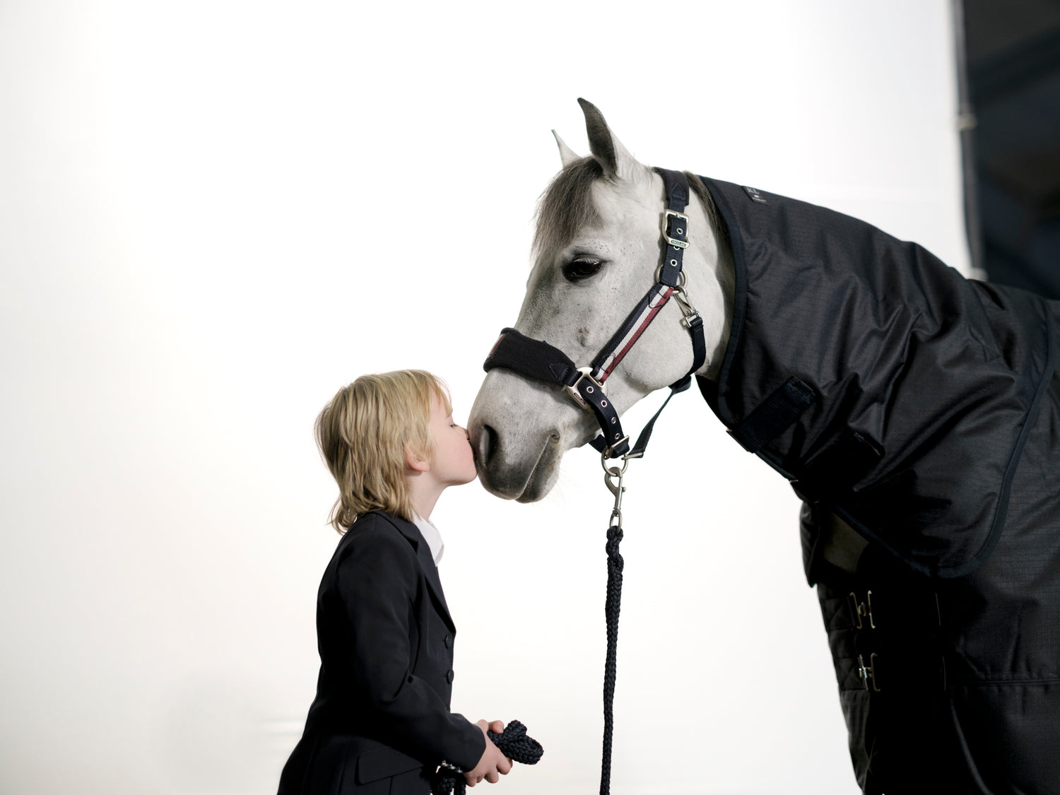 Kingsland classic head collar