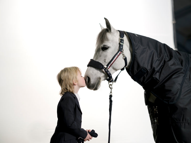 Kingsland classic head collar