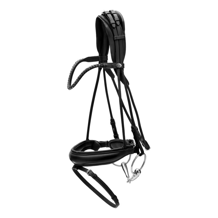 Elegant horse bridle round stitched leather