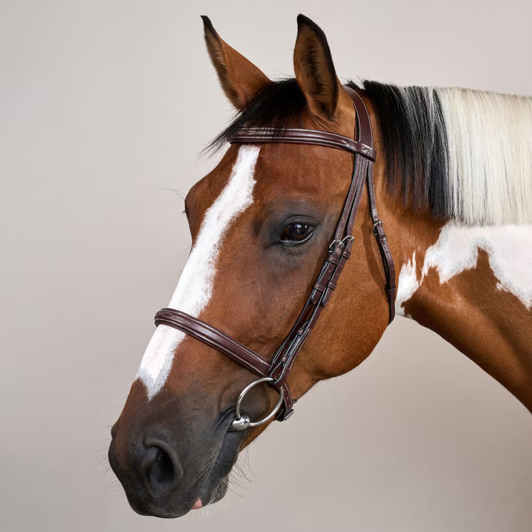 Soft padding on the noseband and browband for comfort