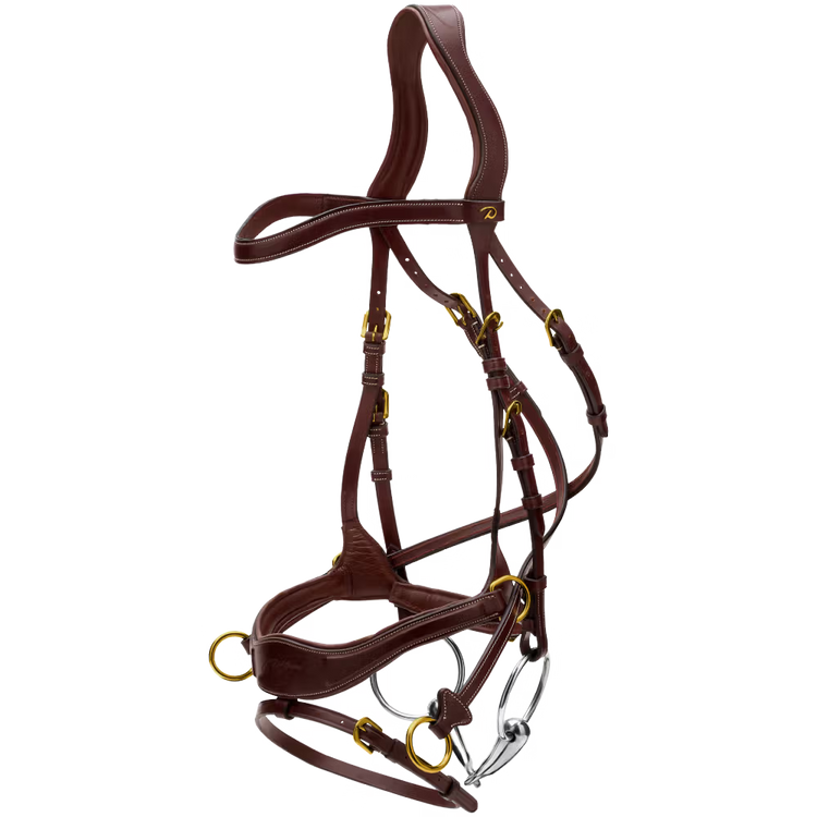two D-buckles