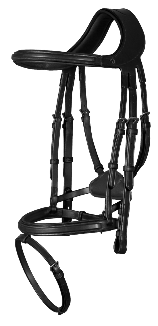 Bridle with very cut back headpiece