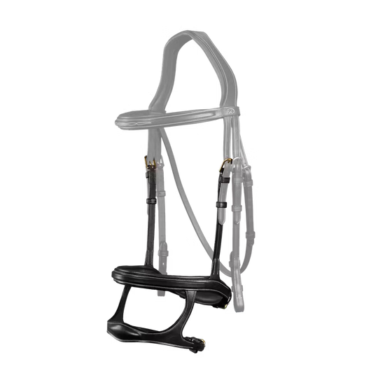 2- in-1 snaffle and dropped noseband