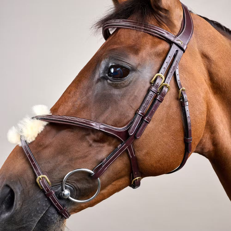 Soft padding on noseband, browband, and crownpiece
