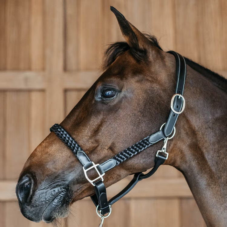 Head strap adjustable with buckles on both sides