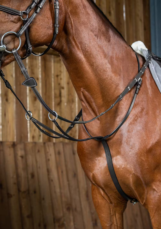 Black leather running martingale for show jumping