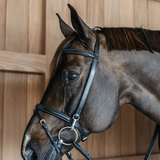 Horse bridle with clips and head adjustment
