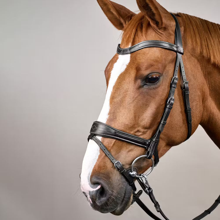 Soft padding on the noseband, browband, and crownpiece