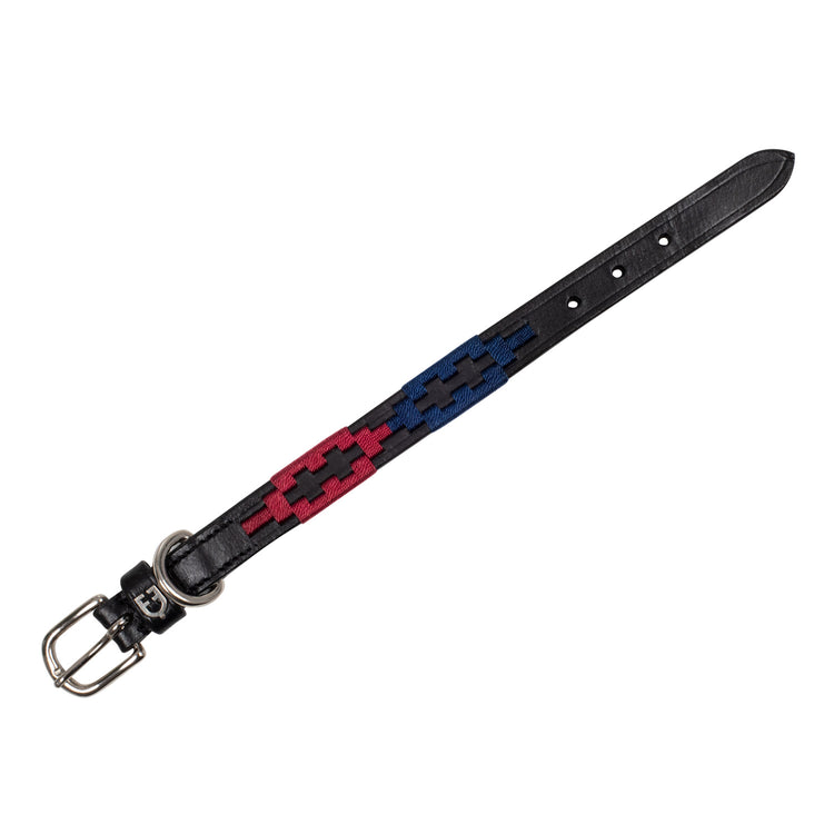 Equestro Dog Collar