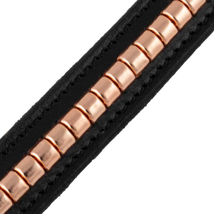 belt with snaffle bit