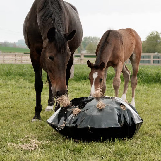 Grooming Deluxe
Play & Haybag Slow Feeder Round