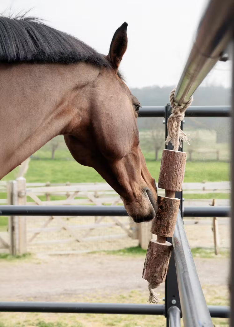 Grooming Deluxe
Wooden Relax Horse Toy