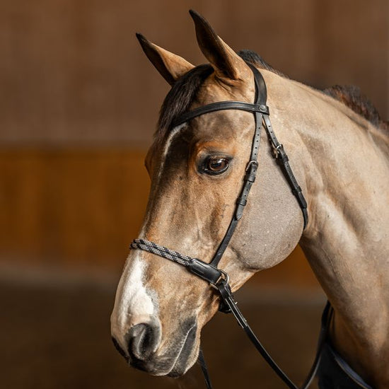 Comfort bitless bridle