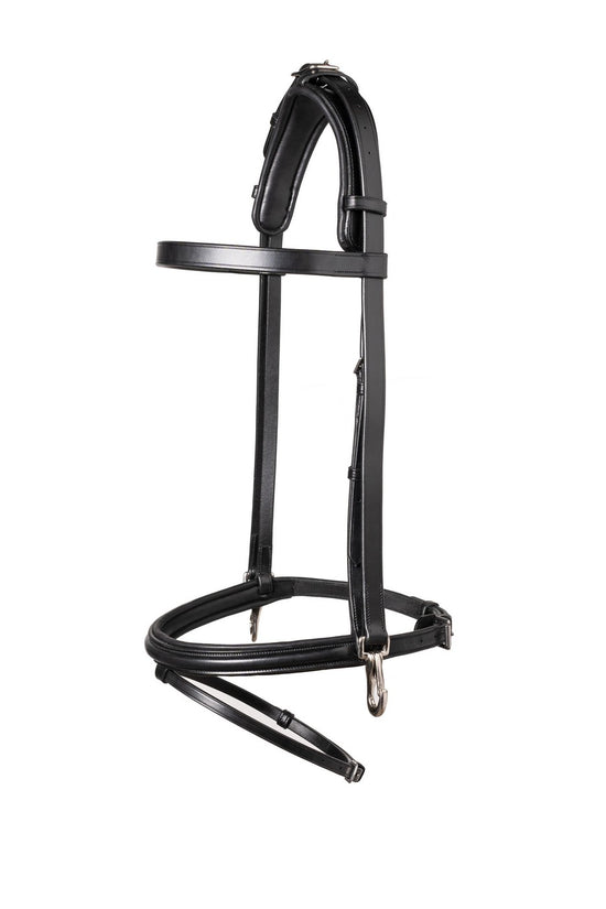 Training Bridle Hamburg